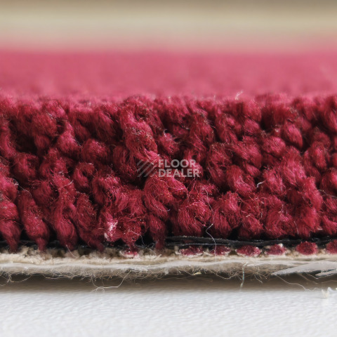 Bonkeel Gleam / Глем Bordo фото 2 | FLOORDEALER